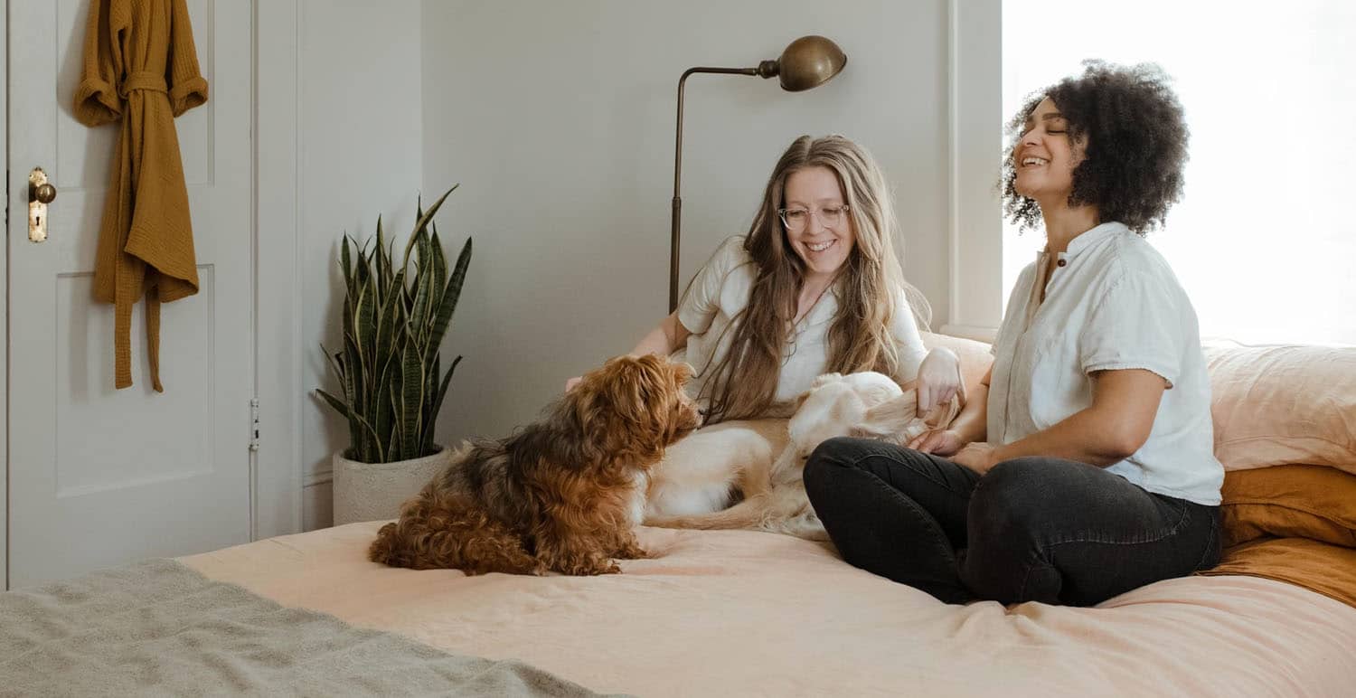 Pets Separation Anxiety How CBD Helps